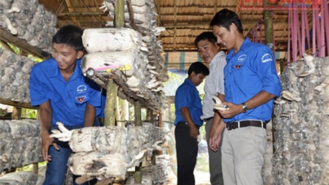 Thoat ngheo tu nam bao ngu hinh anh