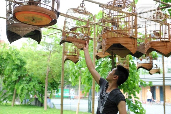 Bi mat CLB choi chim dang thu hut gioi tre Ha thanh hinh anh