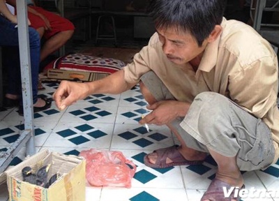 Dua con di thi, mang ca chim rung xuong thu do lam 'lo phi' hinh anh