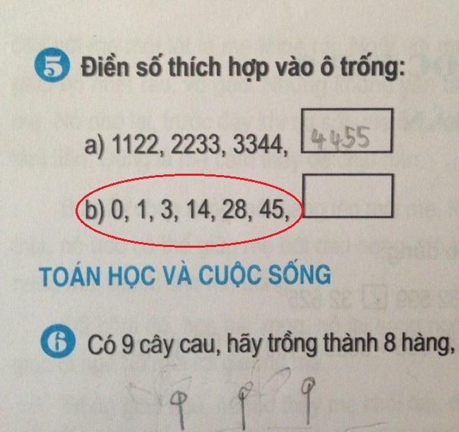 Thu khoa dau dau giai bai toan lop 3 gay tranh cai hinh anh