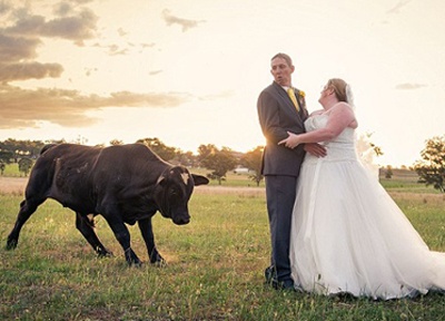 Cap doi bi chu bo 'pha binh' khi dang chup anh cuoi hinh anh