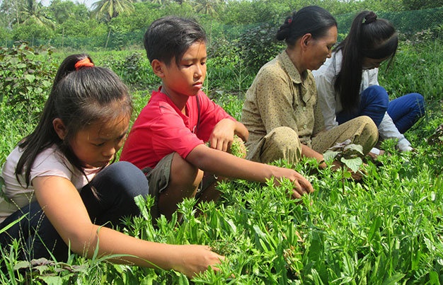 Mo coi toi lam ai oi hinh anh
