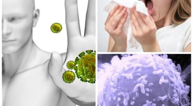 4 diem nhan trong y hoc nam 2014 hinh anh