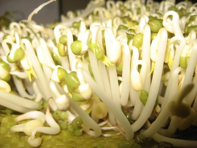 Gia song co loi cho 'chien binh'? hinh anh
