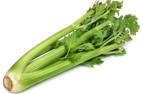 Can tay giup tieu diet benh ung thu hinh anh
