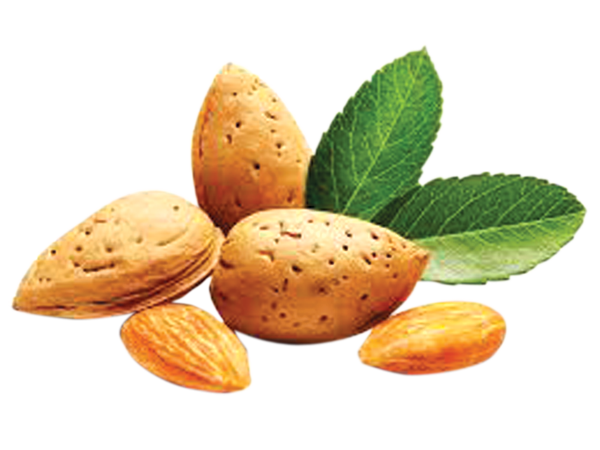 8 mon an vat giup bung phang hinh anh