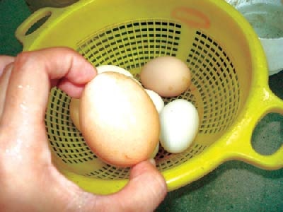 An trung cho tuong la lanh hinh anh