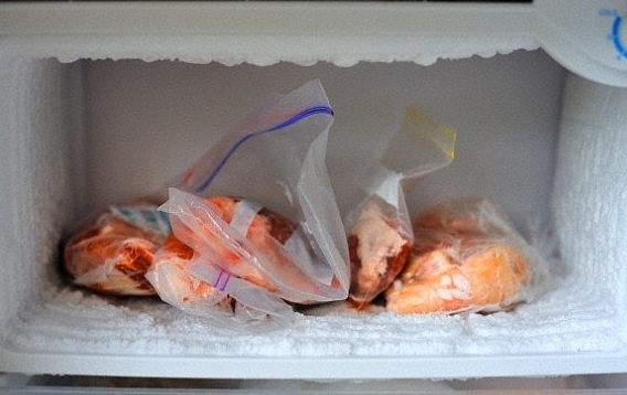 Ga dong lanh co the giam nguy co ngo doc thuc pham hinh anh