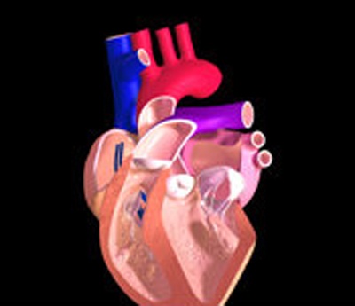 Cach moi chua suy tim hinh anh