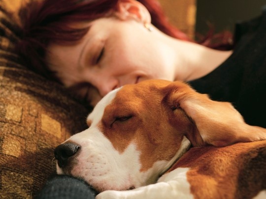 Sai lam ve giac ngu ban nen tranh hinh anh