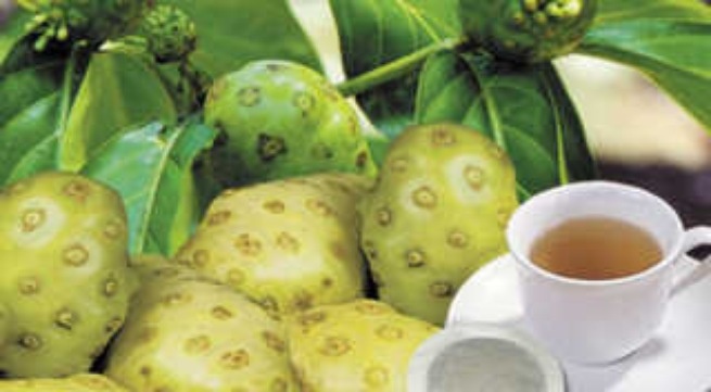 Chua nhuc, dau nua dau do thay doi thoi tiet voi cay nhau hinh anh