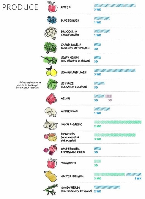 Ở danh mục rau củ quả, loại thực phẩm chỉ được đựng trong tủ lạnh chứ không thể đông đá thì thời gian bảo quản lâu nhất là 2 tháng đối với các loại hành, tỏi khô. Táo, khoai tây và chanh có thể chống chịu được trong 3 tuần, còn lại đa số dưới 1 tuần là có thể bị hư hỏng.  Trứng và đồ ăn làm từ sữa, khi để trong tủ đông/ngăn đá có thể bảo quản đến 6 tháng bao gồm bơ, pho mát và đặc biệt là đậu phụ. Cũng bảo quản trong điều kiện trên, sữa chua có thể an toàn trong 2 tháng và sữa tươi là 3 tháng trước khi sử dụng.