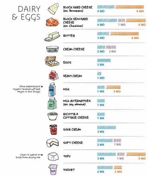 Khi để trong tủ lạnh thông thường, đa số trứng và các thực phẩm làm từ sữa chỉ có hời hạn sử dụng vài tuần cho đến 1 tháng, ngoại trừ pho mát có thể để đến 4-6 tháng.