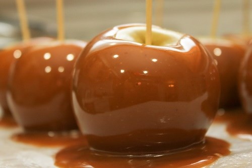 Tao My gay tu vong da nhap khau vao Viet Nam hinh anh