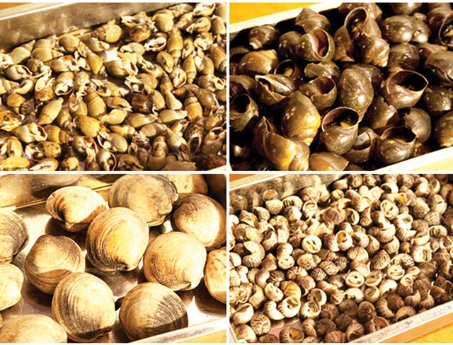 Nhung loai thuy, hai san nao nguy hiem? hinh anh