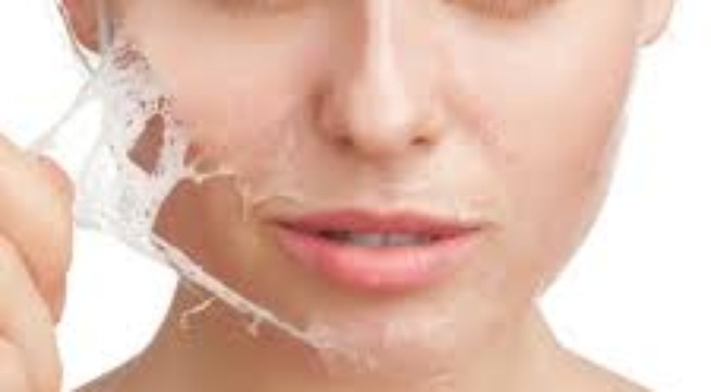 Chuyen doi te bao da thanh mam sinh duc hinh anh