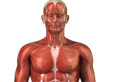 Nhung con so an tuong ve co the trong nam 2015 hinh anh