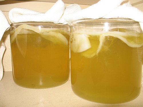 Giam: Qua tuyet cho da! hinh anh