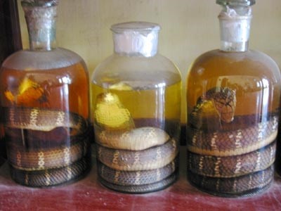 Uong ruou ran ngay Tet, liet duong suot doi hinh anh