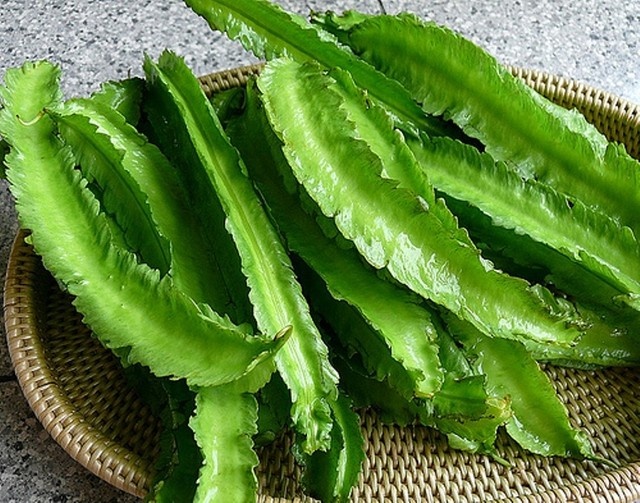 Chua dau bao tu bang dau rong hinh anh