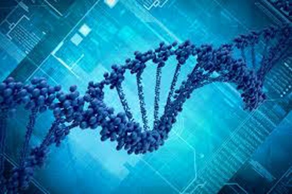 9. Bộ gen người hoàn chỉnh bao gồm khoảng 3 tỷ phân tử DNA. Nếu bắt đầu đọc thứ tự của các phân tử DNA với tốc độ 100 phân tử mỗi phút thì bạn cần đến 57 năm để có thể đọc hết các phân tử DNA của cơ thể mình với điều kiện không làm bất cứ hoạt động ăn uống ngủ nghỉ nào.