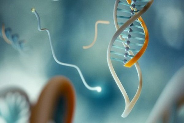 3. Hai người khác nhau có bộ gen giống nhau 99,9% và khác nhau về chỉ có 0,1%. Tuy vậy, bạn đừng lo lắng nhầm lẫn gen giữa người này người kia. Chỉ 0,1% cũng sẽ quyết định sự khác biệt lớn.