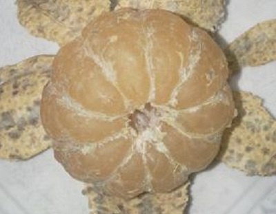 'Quyt moi mua da moc xanh, moc do' hinh anh