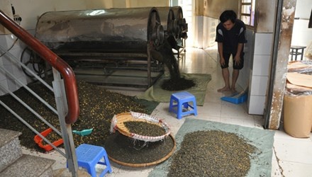Phat hien 12 tan tra dang tam hoa chat hinh anh