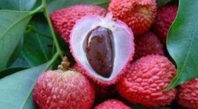 Cong dung khong ngo cua hat vai hinh anh