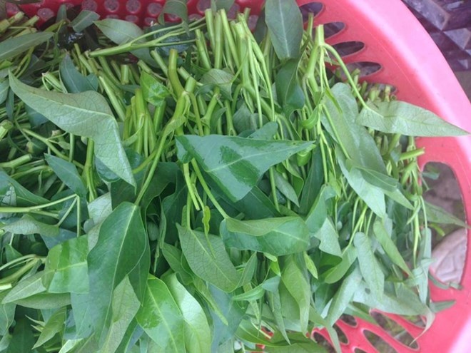 Chuyen gia dinh duong bay cach chon thuc pham an toan hinh anh