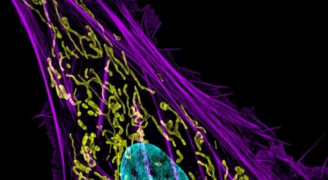 Phat minh thiet bi chan doan bach benh hinh anh