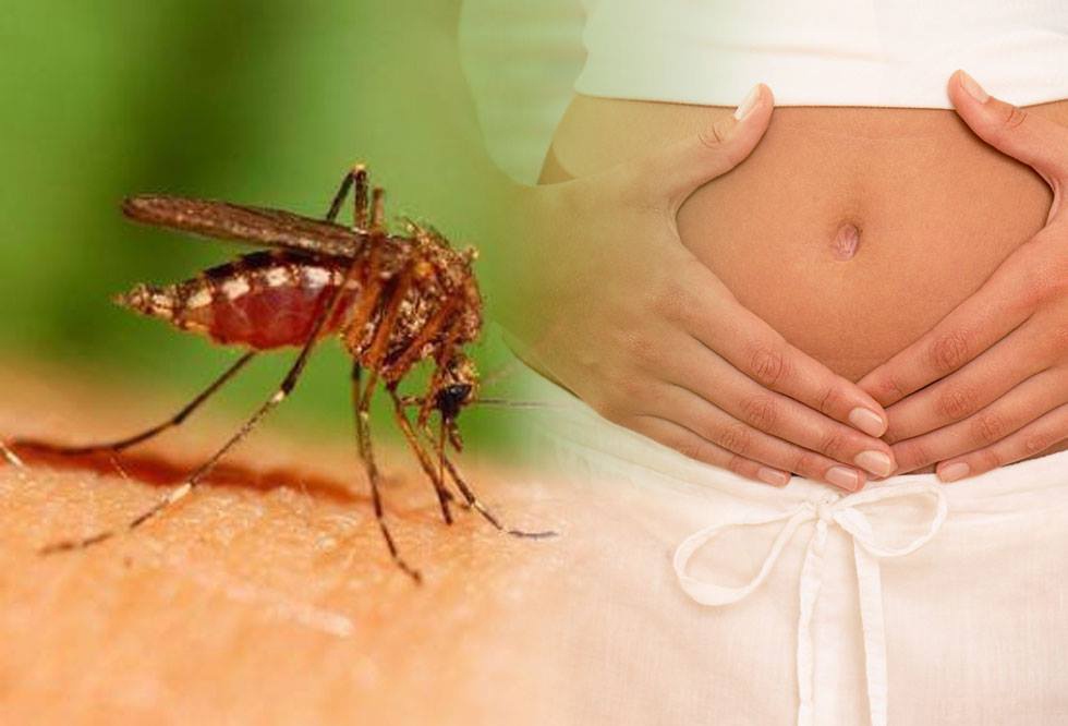 Thai phu 33 tuoi o TP HCM mac Zika do muoi dot hinh anh