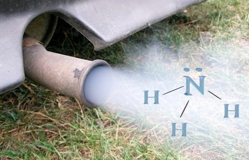 Khi amoniac giet nguoi nhanh nhu the nao? hinh anh