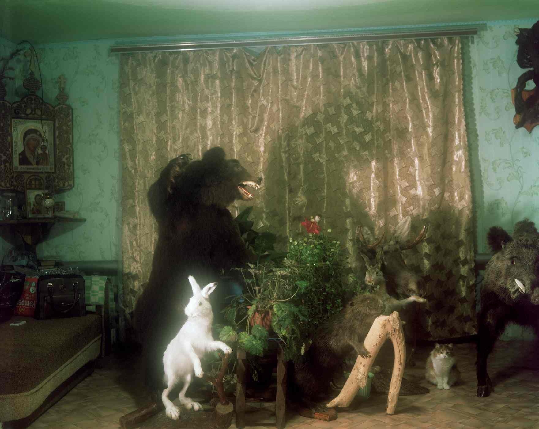 Cuoc song bi an cua bo toc ngoai dao co xua nhat chau Au anh 7