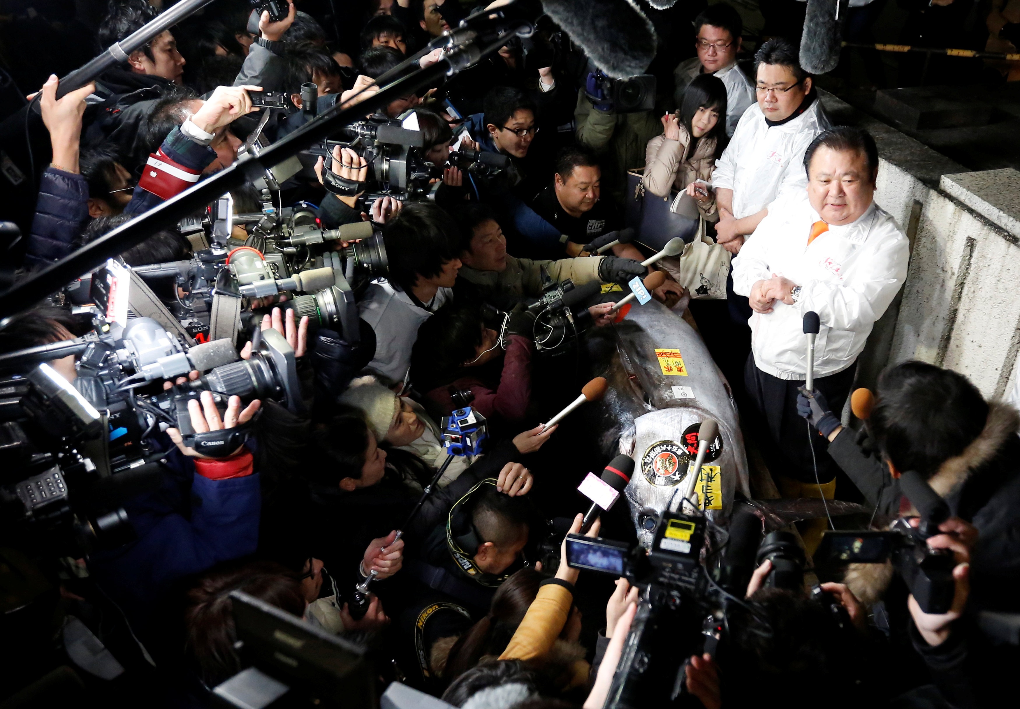 Ca ngu Nhat duoc mua voi gia 630.000 USD anh 4