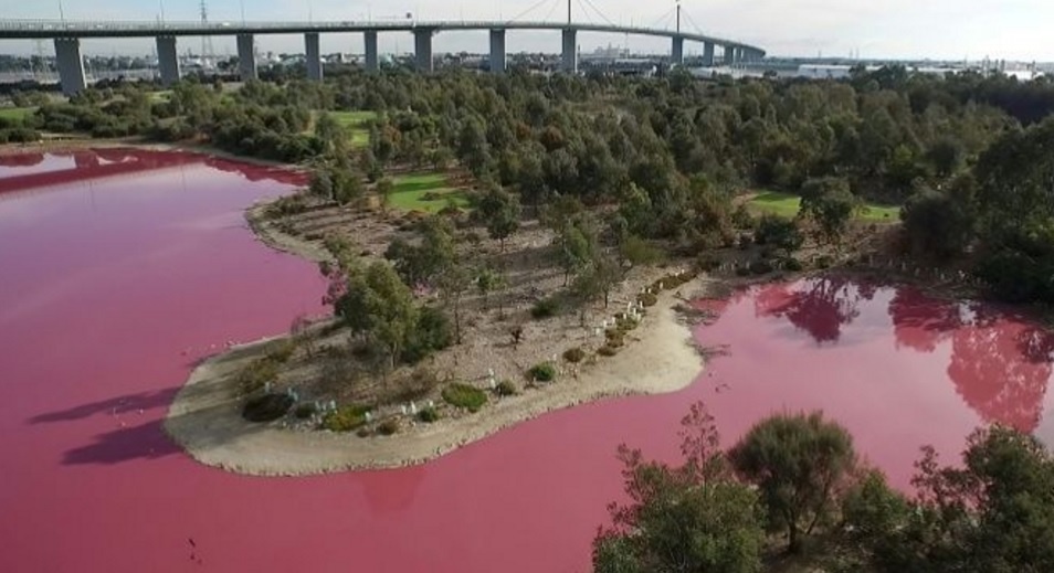 hồ nước hồng ảnh 1 ho nuoc hong anh 1