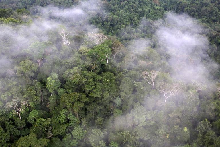 phim King Kong anh 1