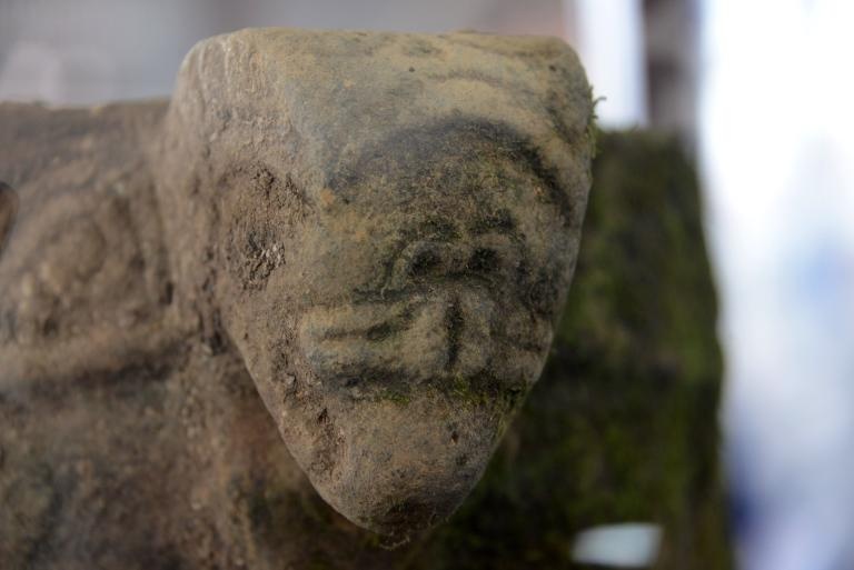 phim King Kong anh 5