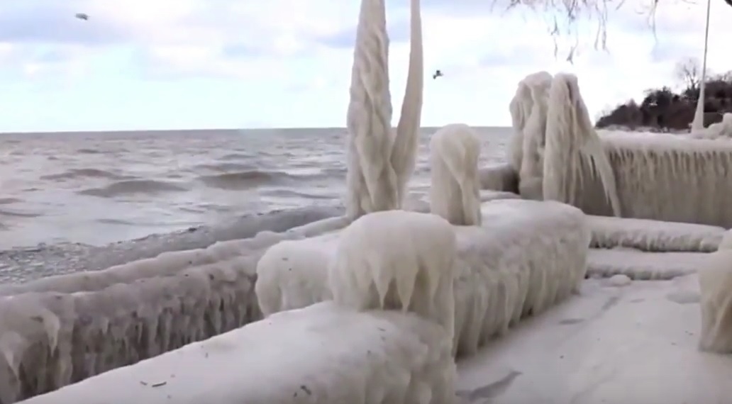 Nha dong bang trang xoa o New York hinh anh