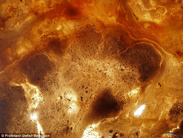 hoa thach 1, 6 ty nam anh 2