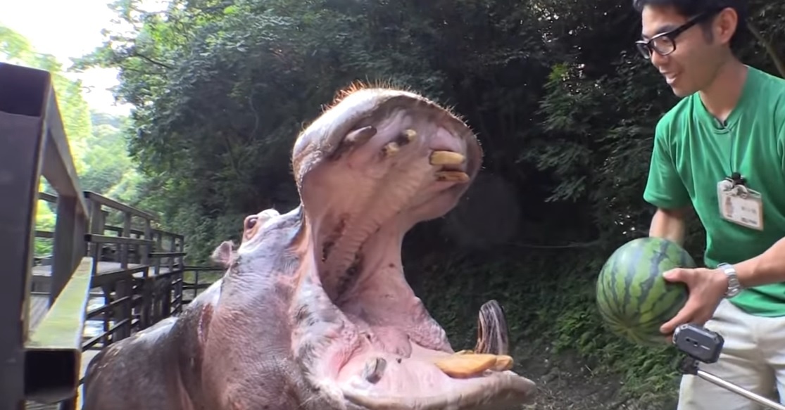 Gia dinh ha ma an dua hau hinh anh