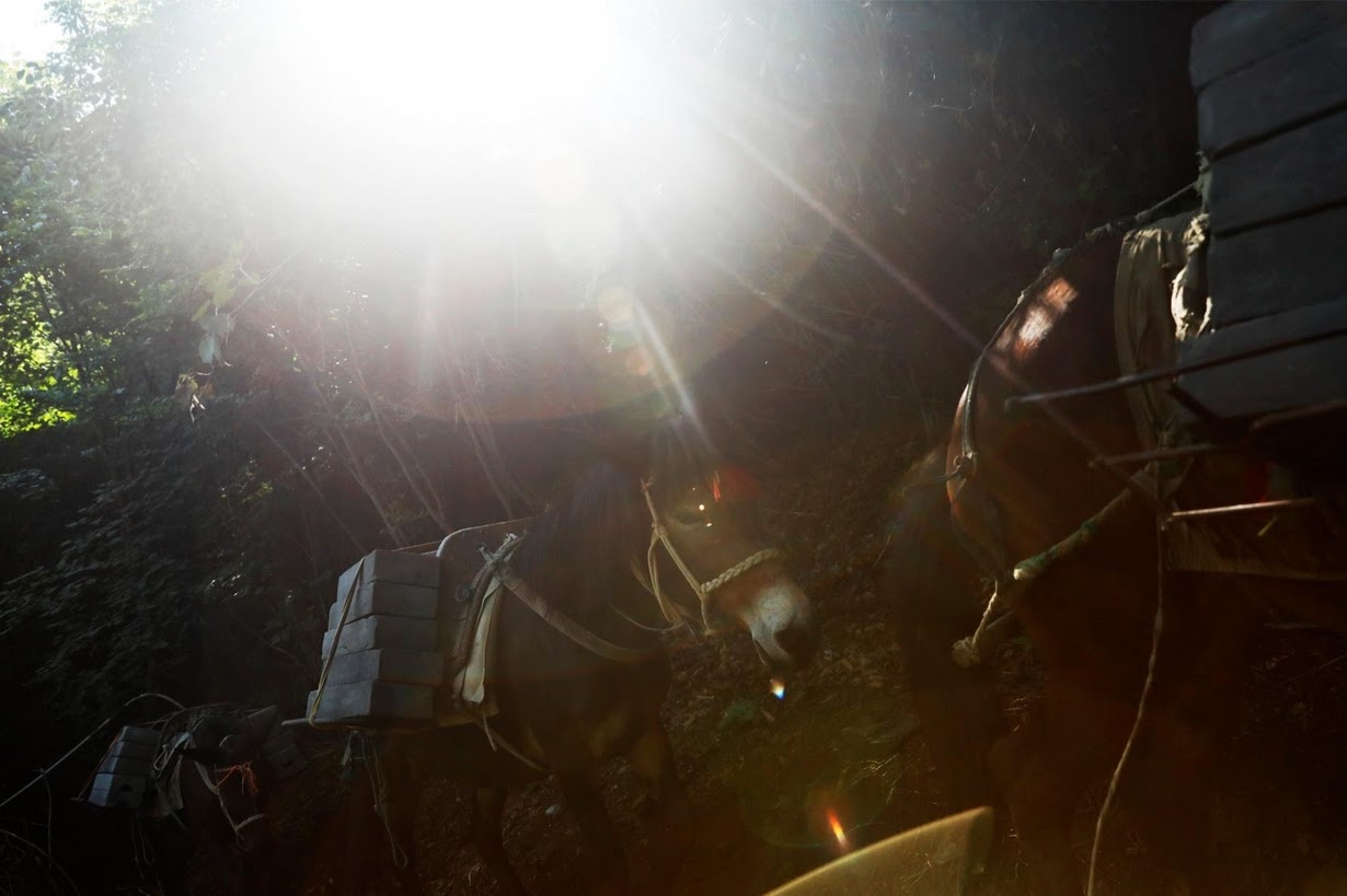 xay dung lai Van Ly Truong Thanh anh 1