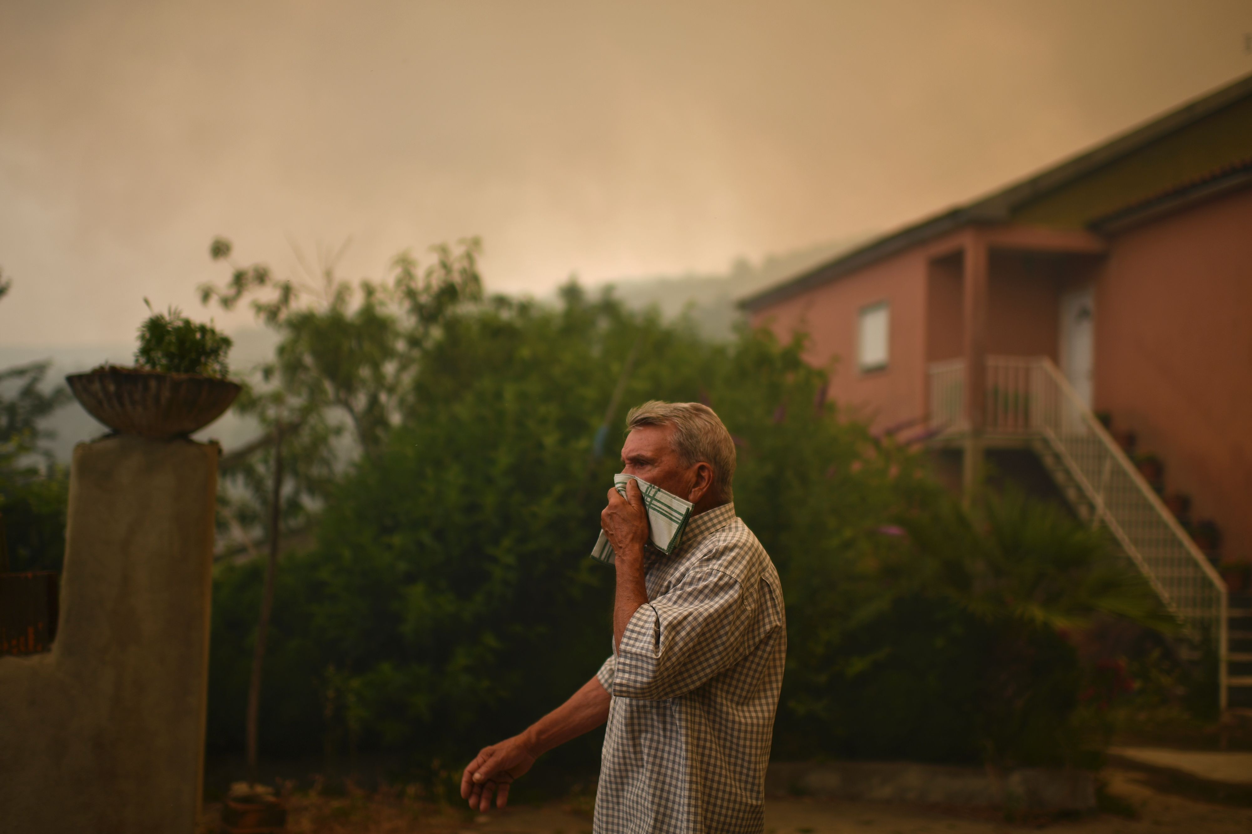 chay rung o Bo Dao Nha anh 6