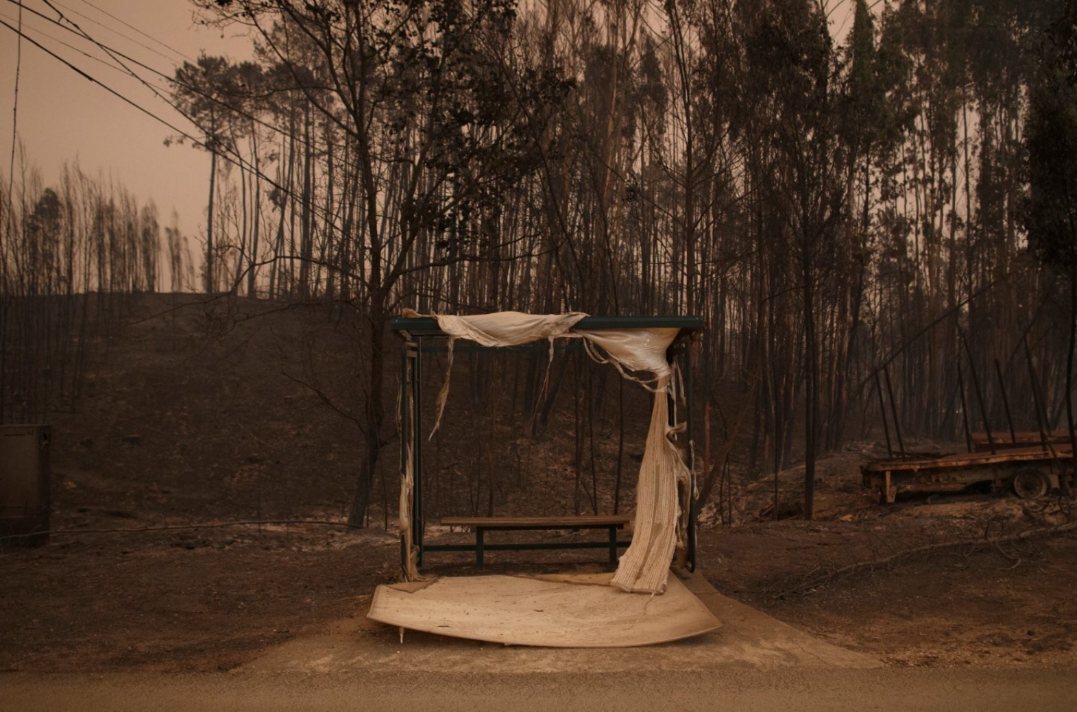 chay rung o Bo Dao Nha anh 2