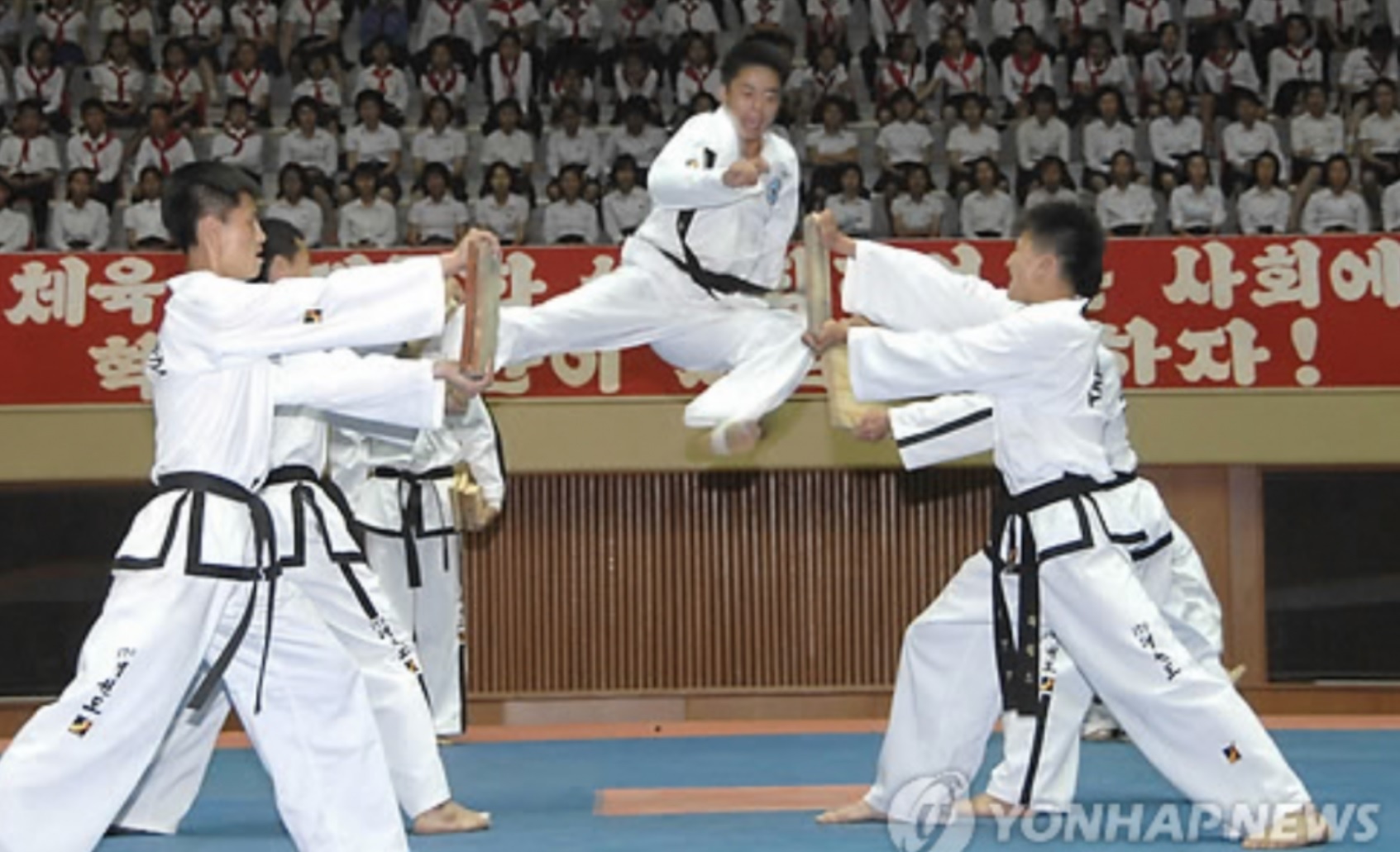 Doi Taekwondo Trieu Tien se toi Han Quoc hinh anh