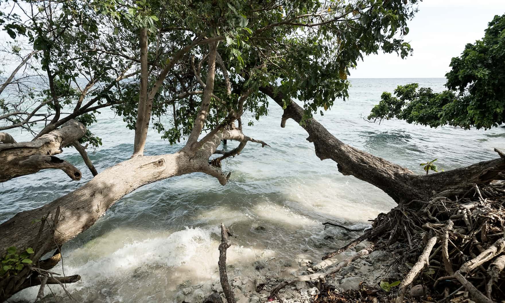 quan dao Solomon anh 1