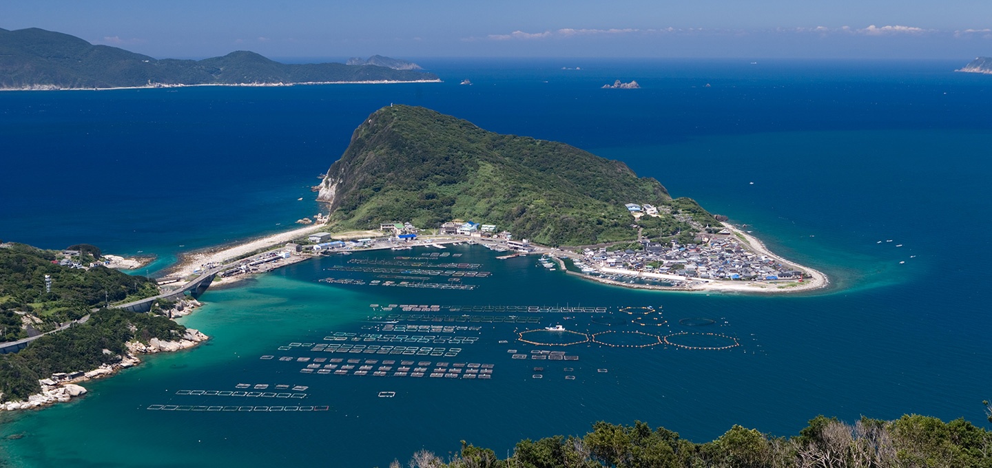 Dao dan ong o Nhat duoc cong nhan di san UNESCO anh 7