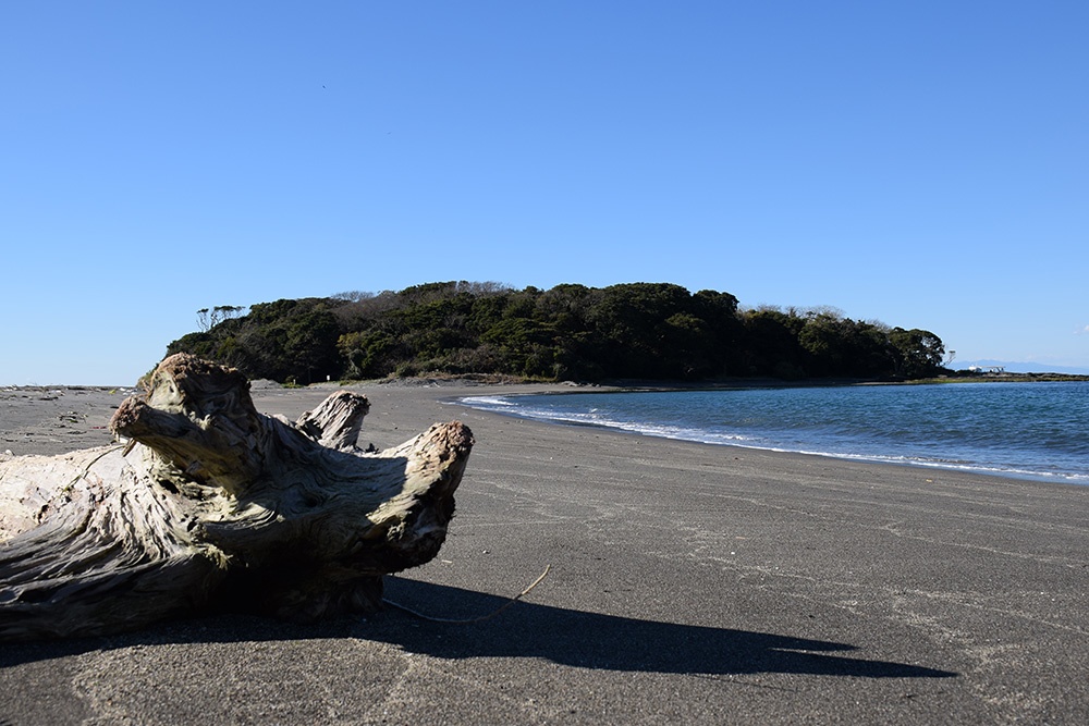 Dao dan ong o Nhat duoc cong nhan di san UNESCO anh 8