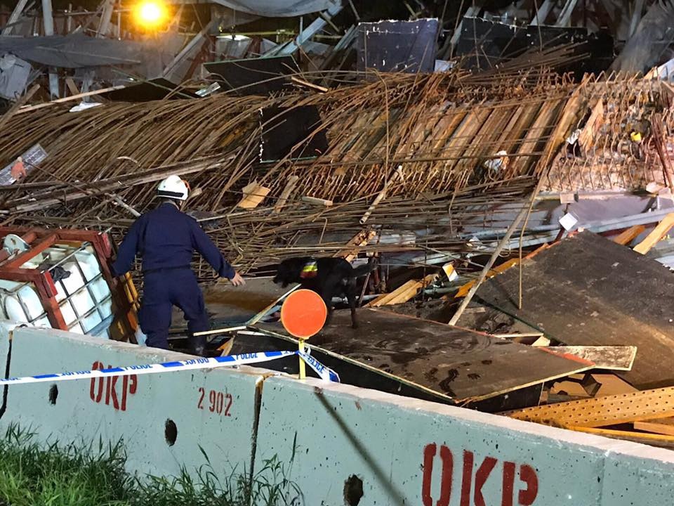 sap duong cao toc o Singapore anh 1