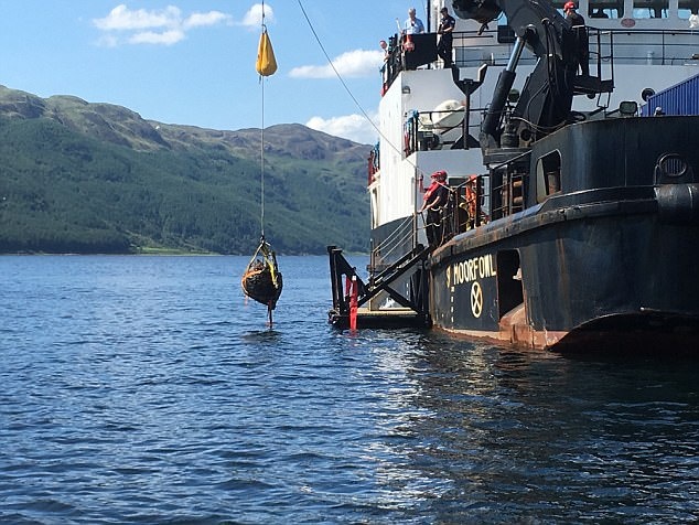 bom dong dat Anh anh 2